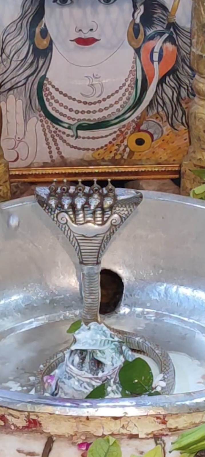 Rudrabhishek to Shree Kubereshwar Mahadev