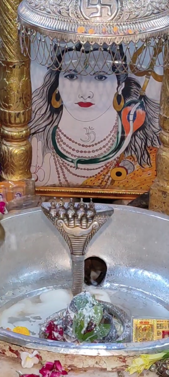 Rudrabhishek to Shree Kubereshwar Mahadev