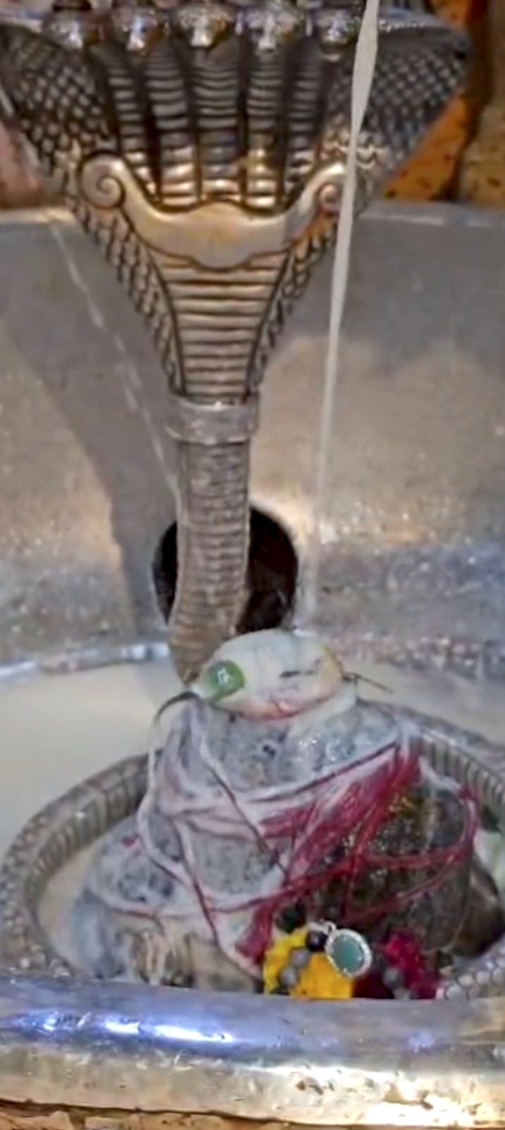 Rudrabhishek to Shree Kubereshwar Mahadev