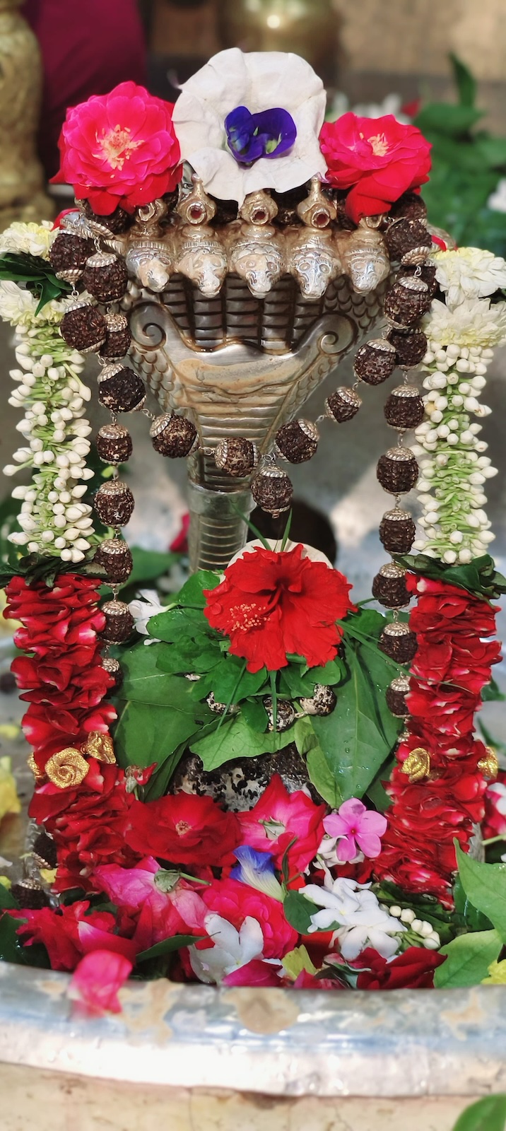 Shangar Darshan Shree Kubereshwar Mahadev