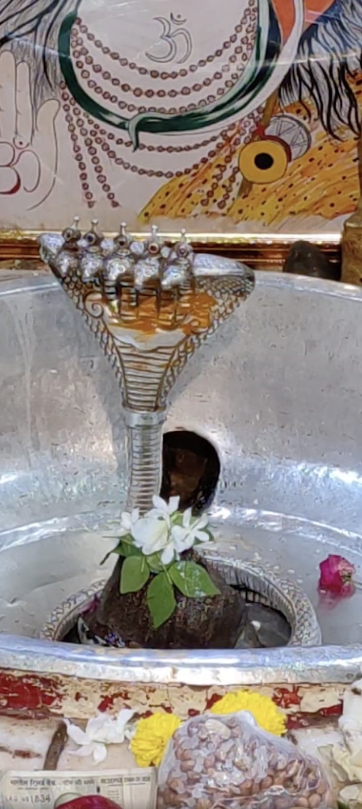 Rudrabhishek to Shree Kubereshwar Mahadev