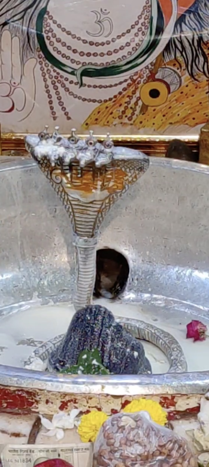 Rudrabhishek to Shree Kubereshwar Mahadev