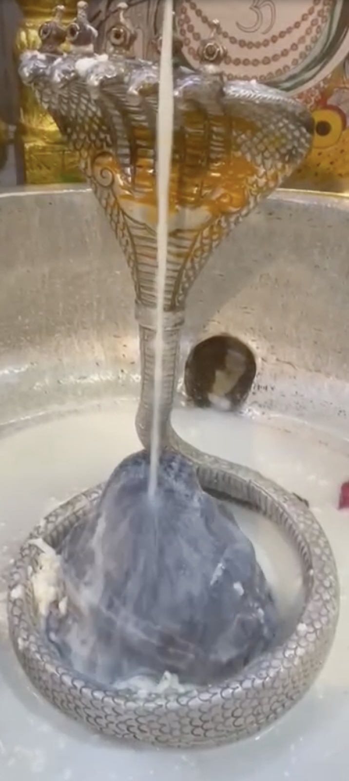 Rudrabhishek to Shree Kubereshwar Mahadev