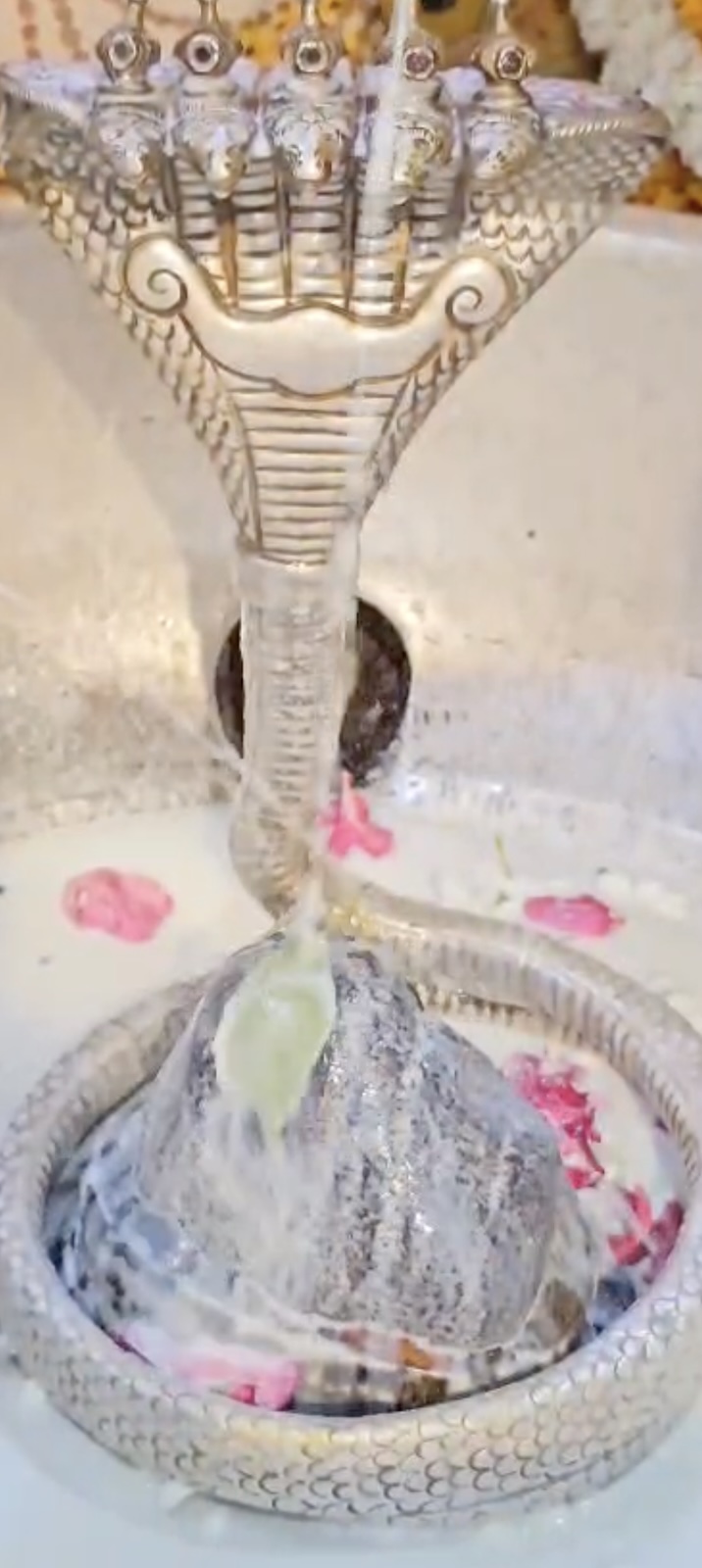 Rudrabhishek to Shree Kubereshwar Mahadev