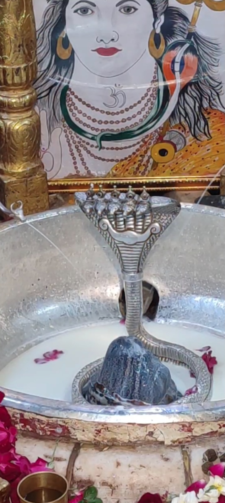 Rudrabhishek to Shree Kubereshwar Mahadev