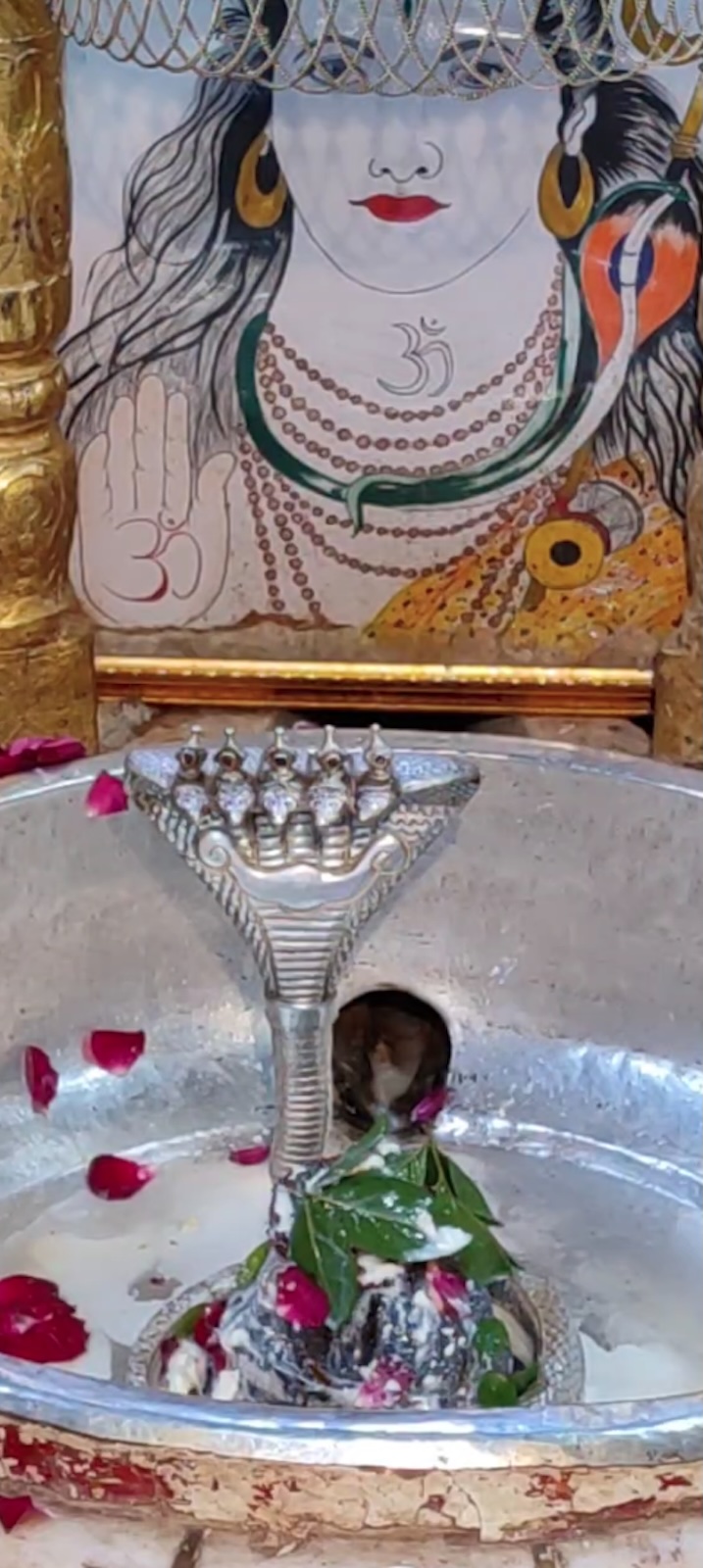 Rudrabhishek to Shree Kubereshwar Mahadev