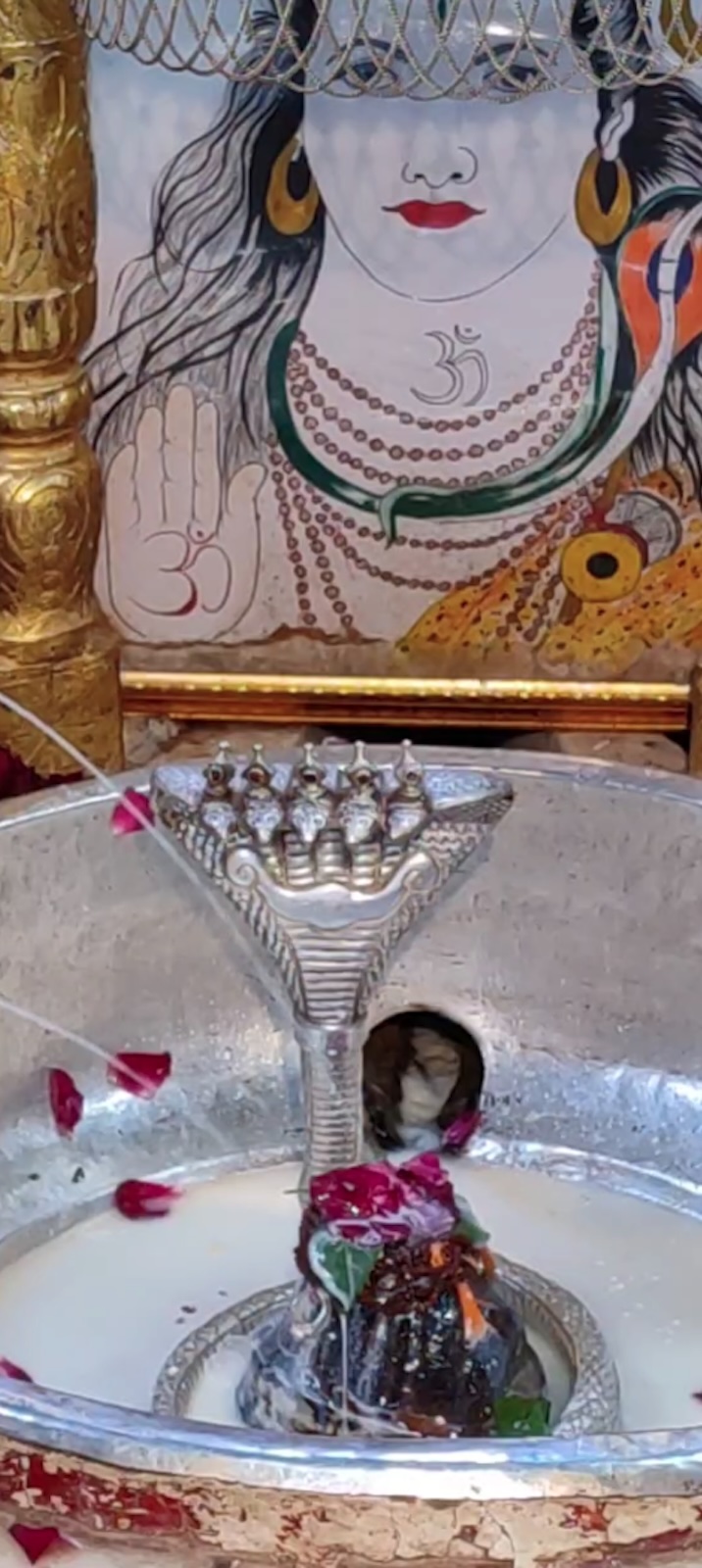 Rudrabhishek to Shree Kubereshwar Mahadev