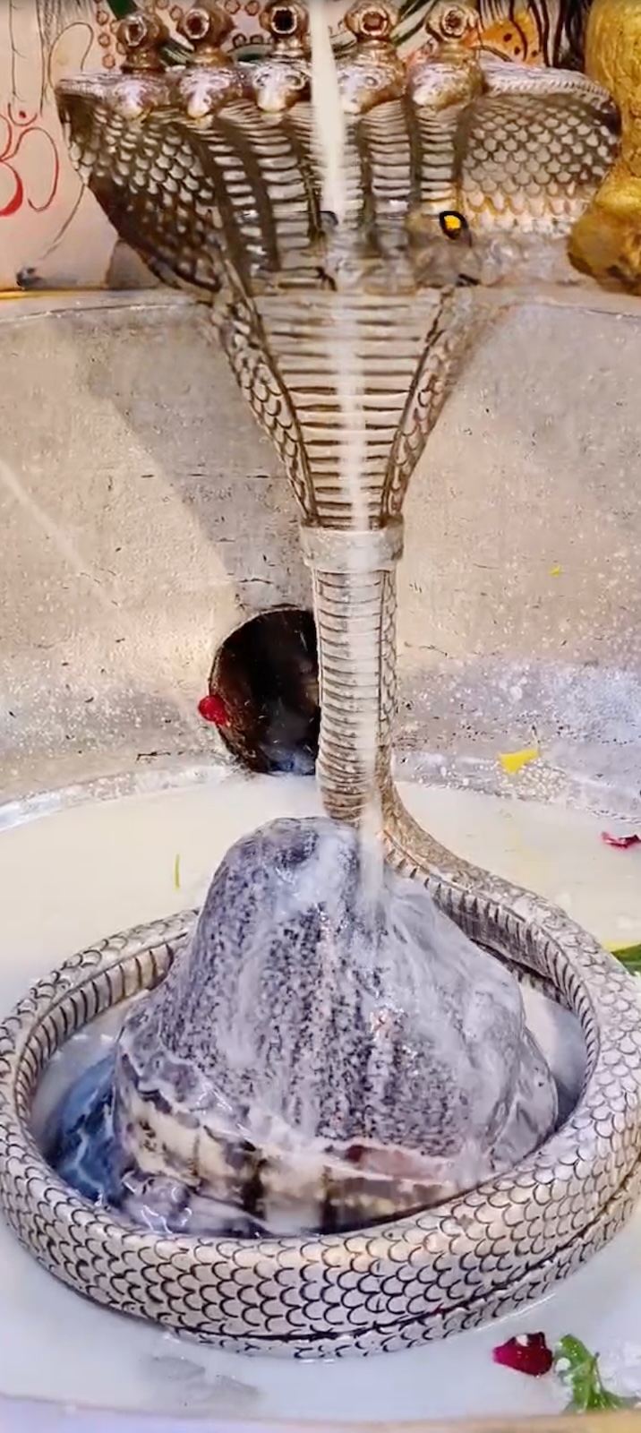 Rudrabhishek to Shree Kubereshwar Mahadev