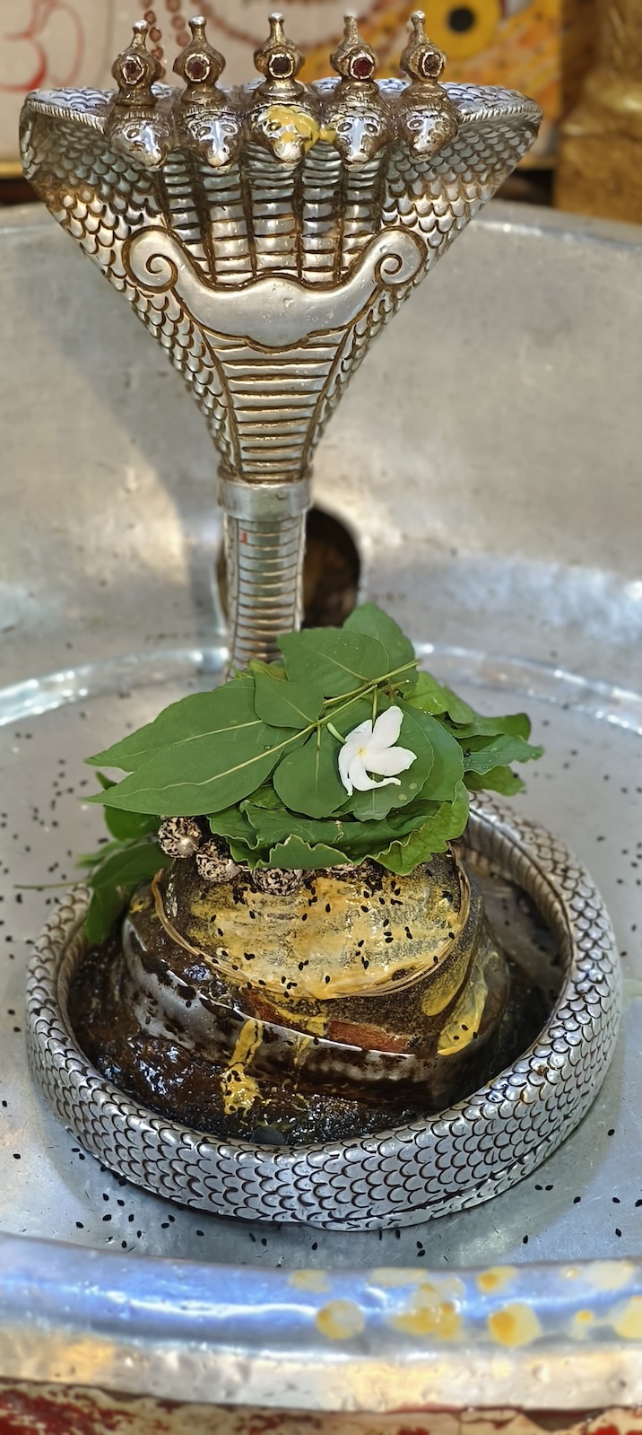 Rudrabhishek to Shree Kubereshwar Mahadev