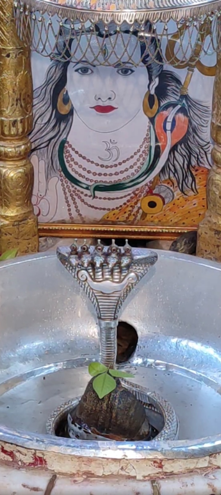 Rudrabhishek to Shree Kubereshwar Mahadev