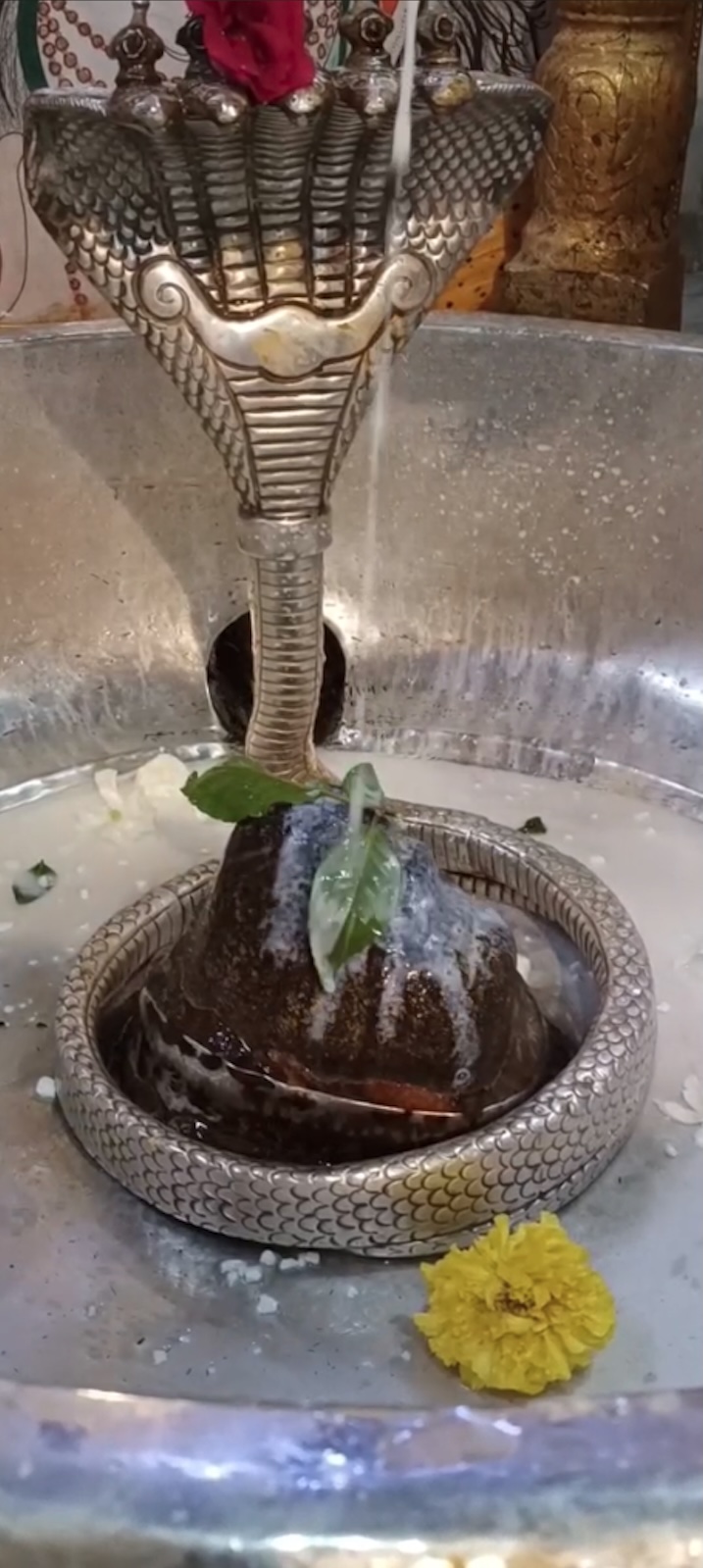 Rudrabhishek to Shree Kubereshwar Mahadev