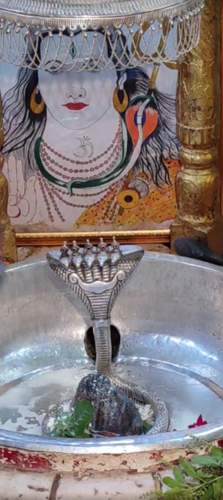 Rudrabhishek to Shree Kubereshwar Mahadev