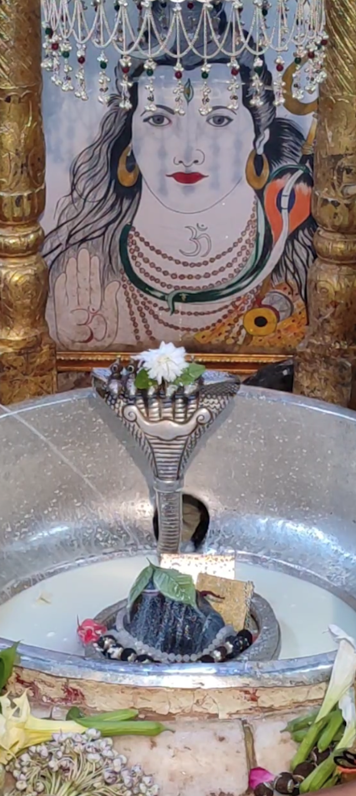 Rudrabhishek to Shree Kubereshwar Mahadev