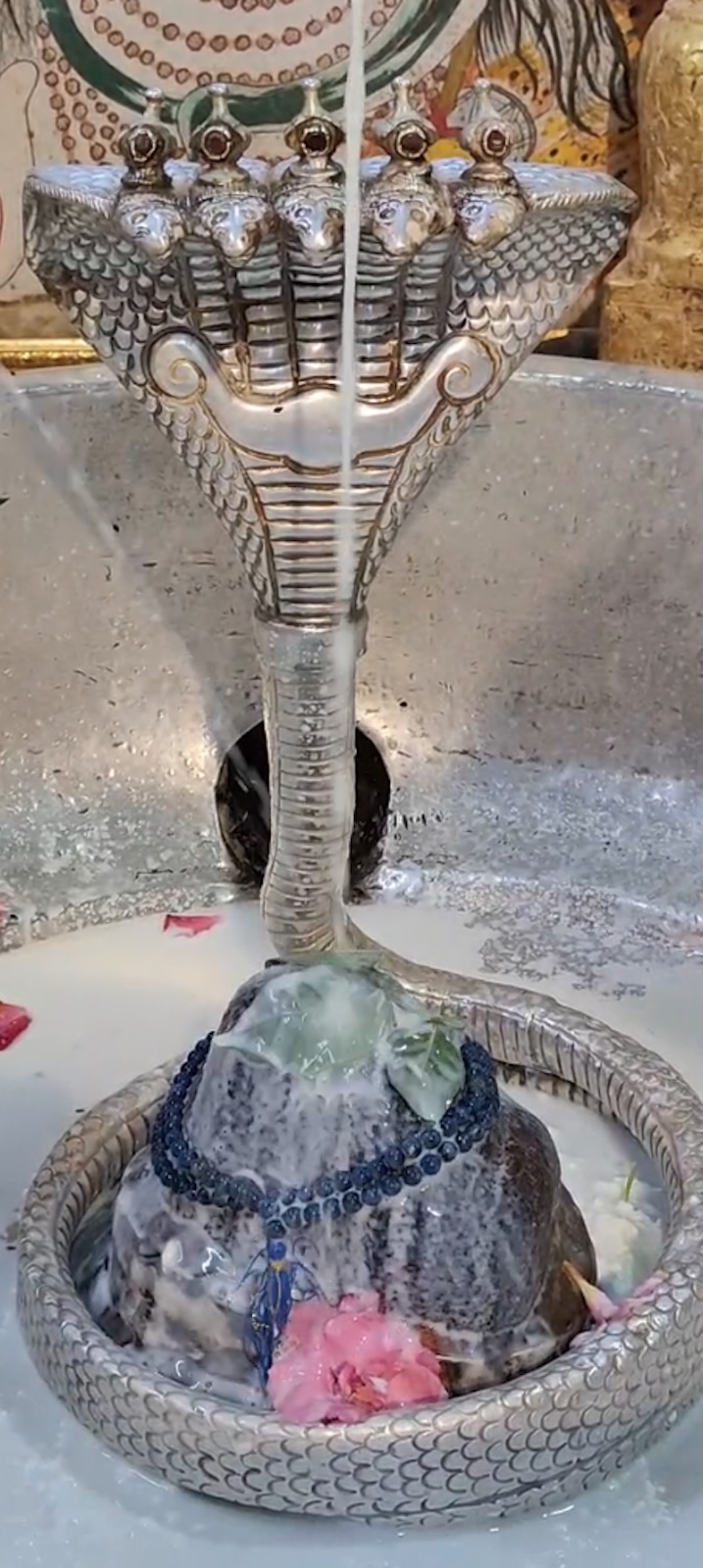 Rudrabhishek to Shree Kubereshwar Mahadev