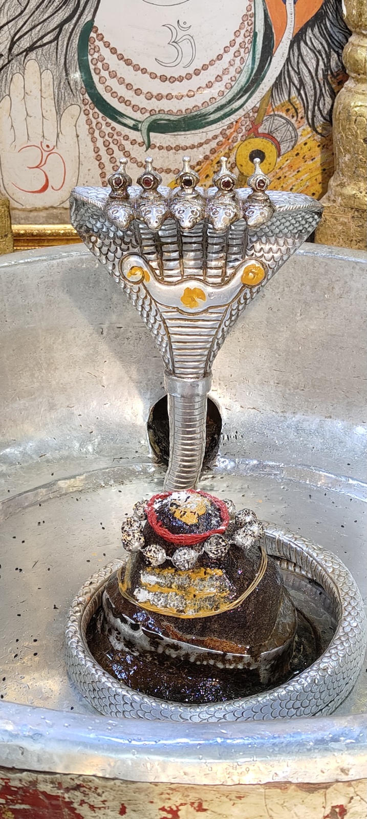Rudrabhishek to Shree Kubereshwar Mahadev