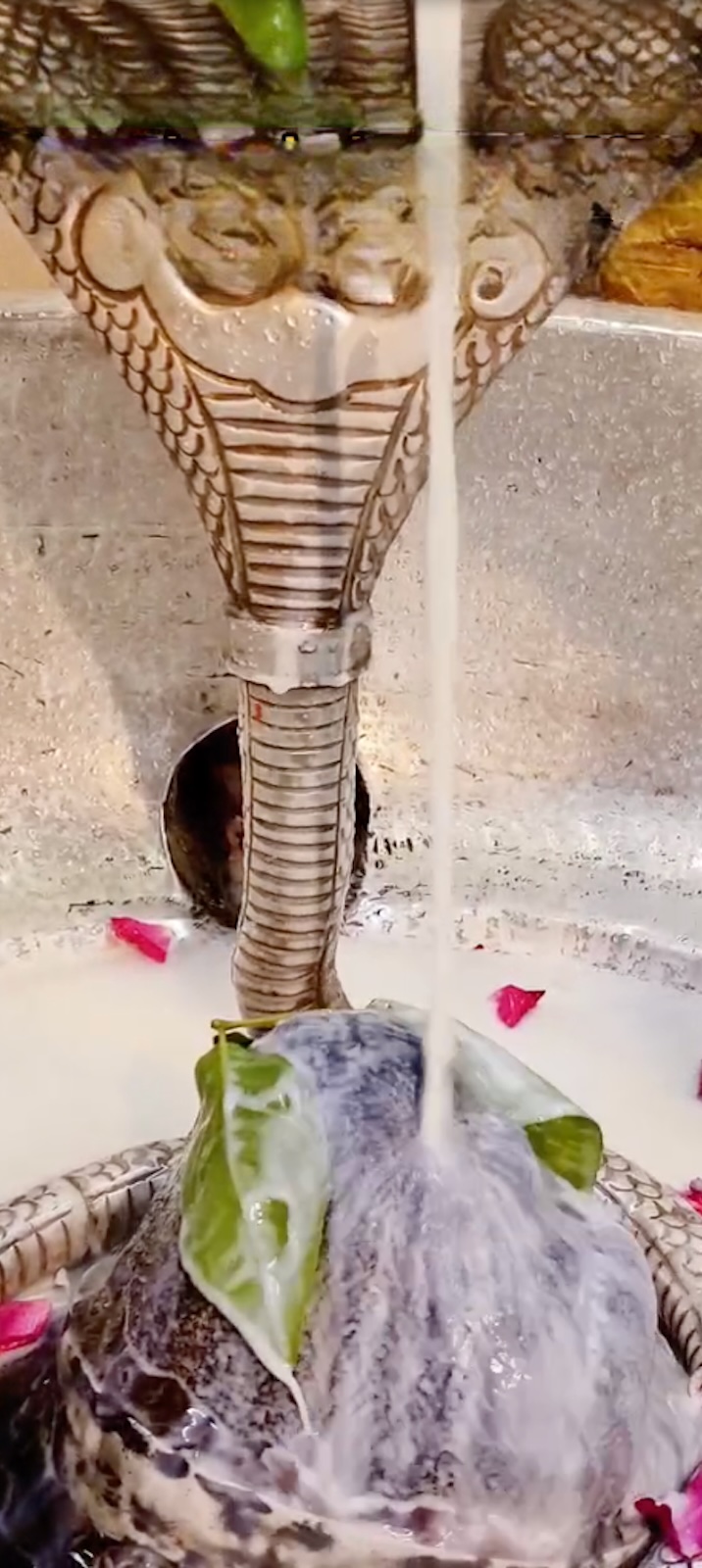 Rudrabhishek to Shree Kubereshwar Mahadev