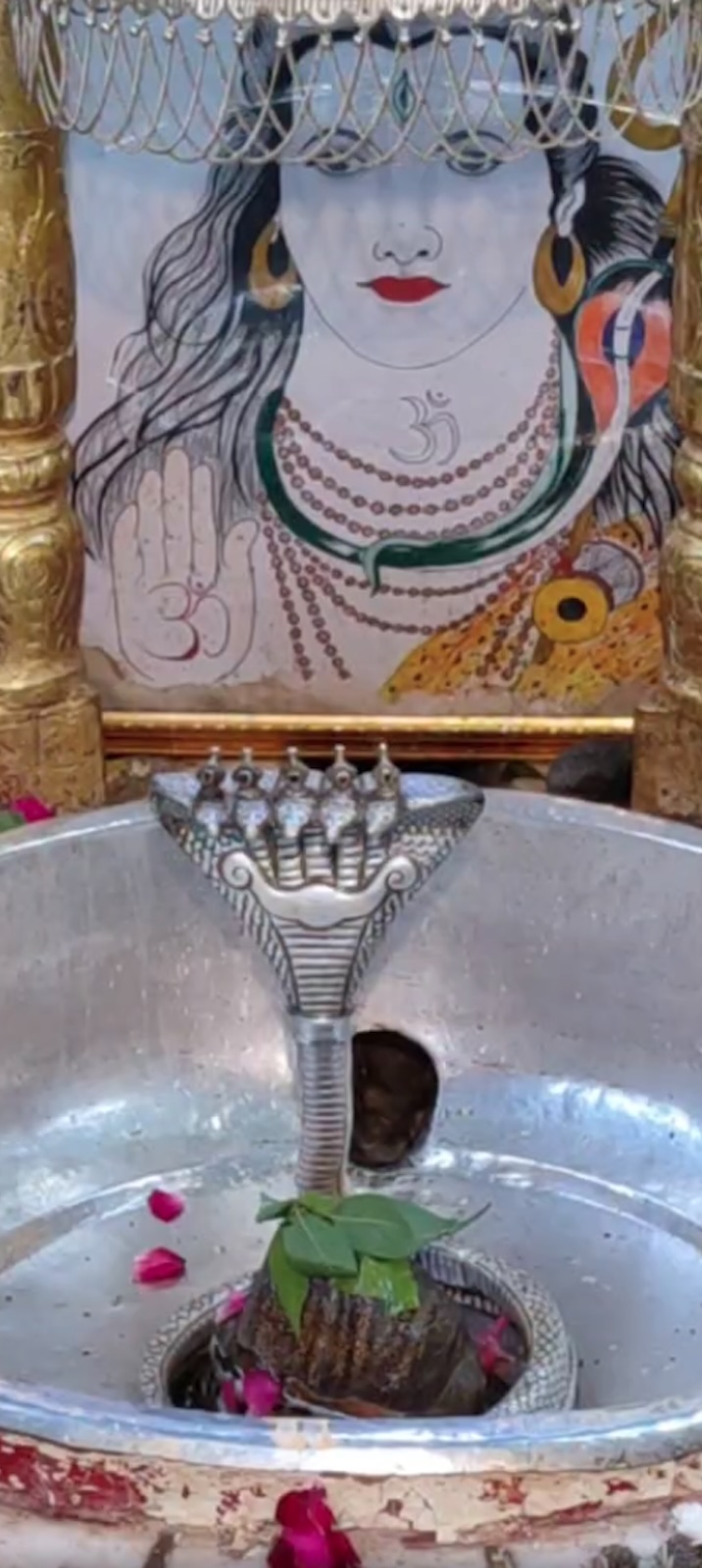 Rudrabhishek to Shree Kubereshwar Mahadev