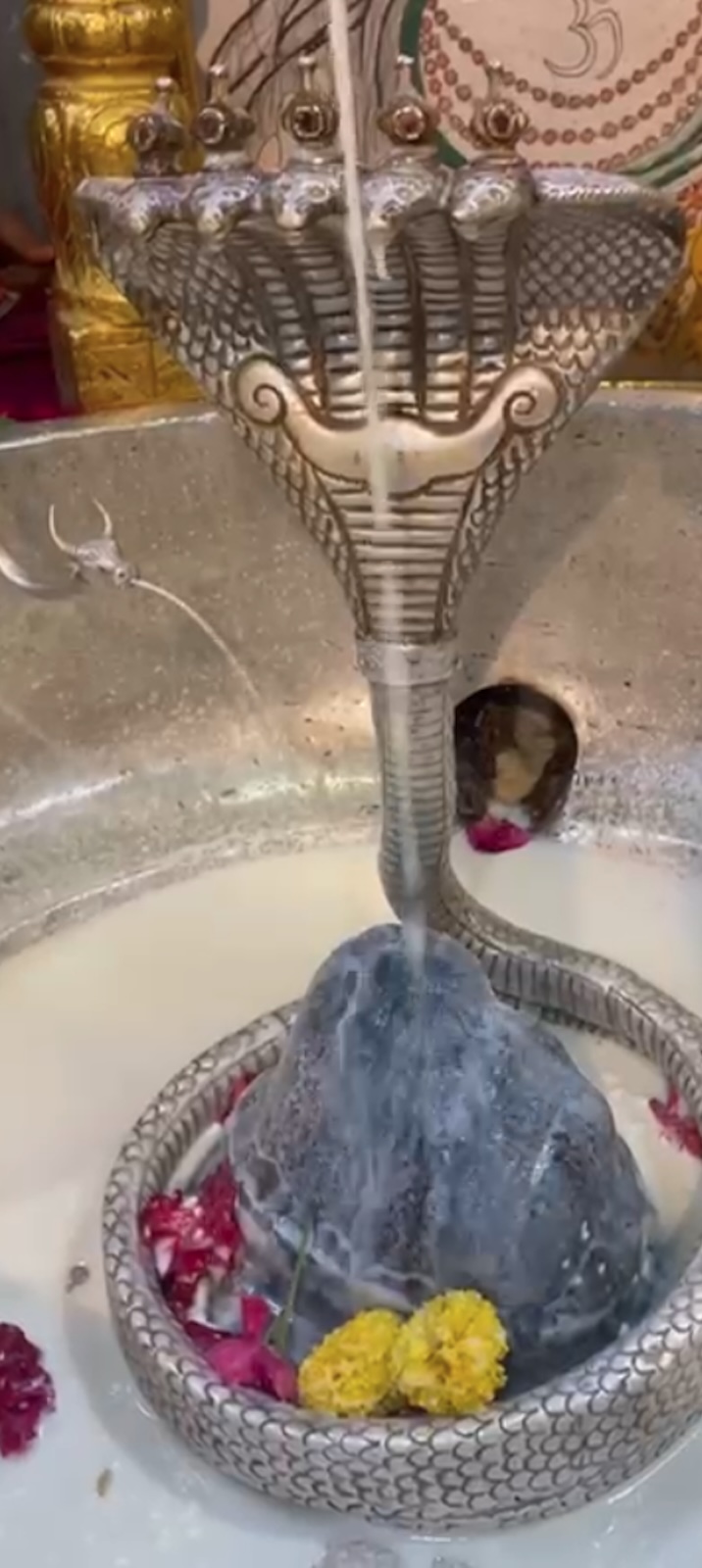 Rudrabhishek to Shree Kubereshwar Mahadev