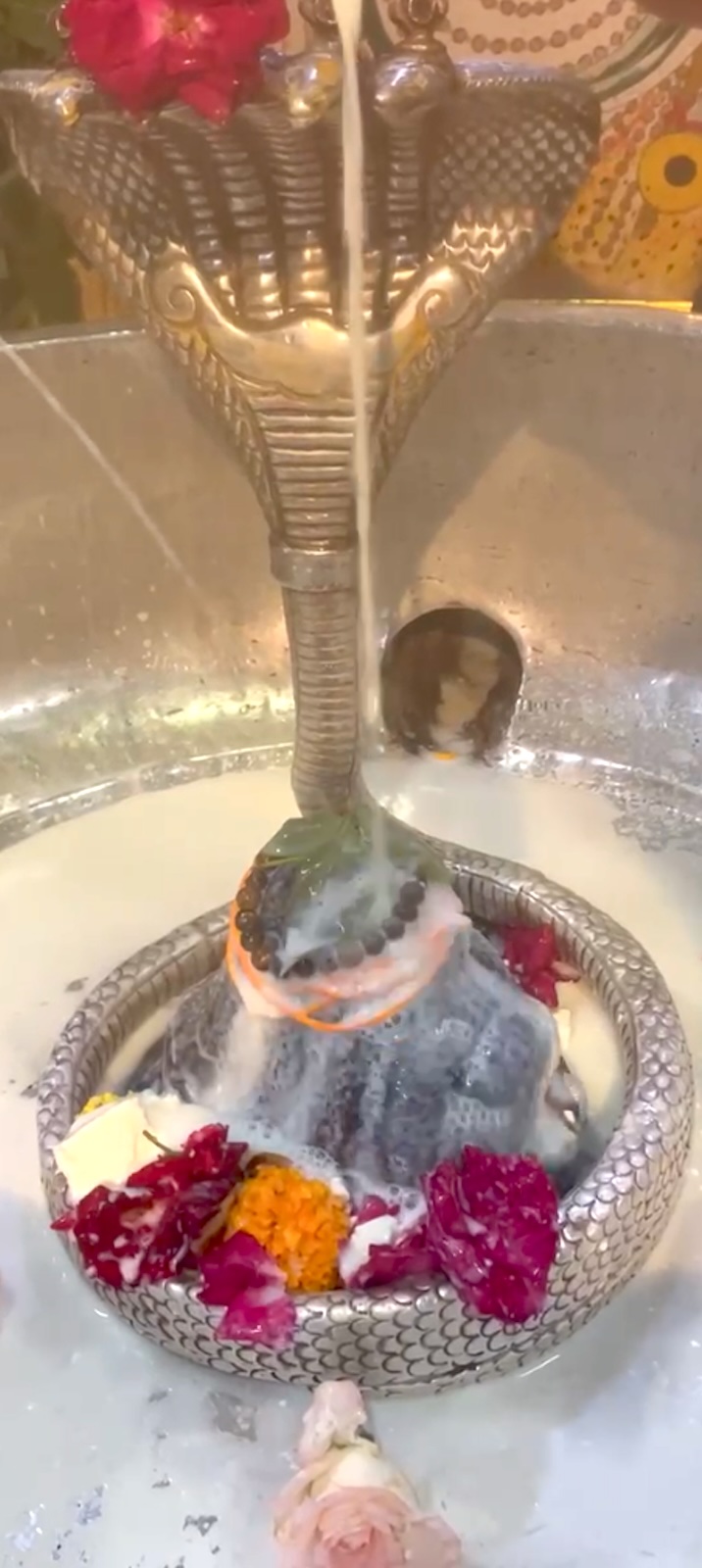 Rudrabhishek to Shree Kubereshwar Mahadev