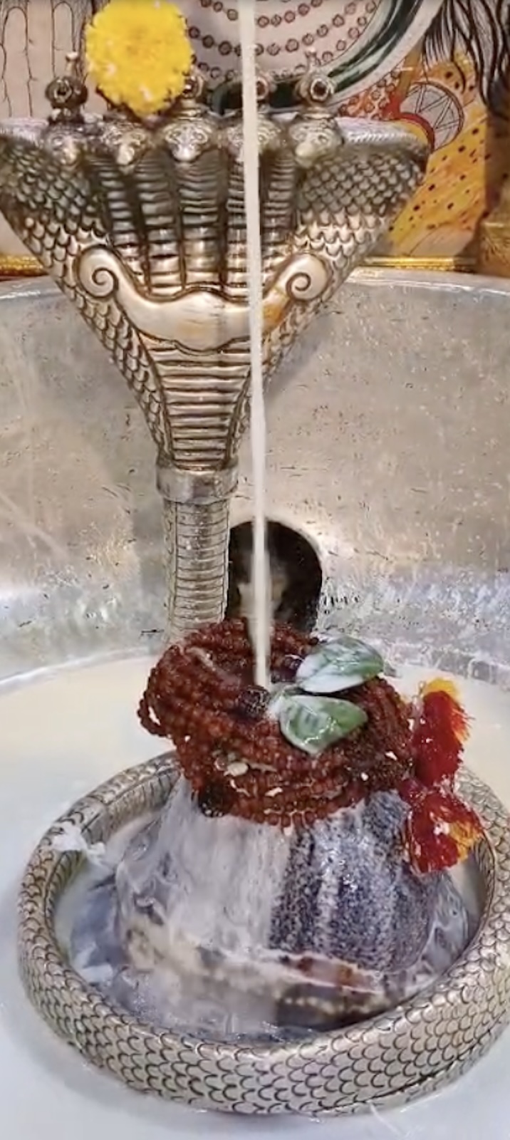 Rudrabhishek to Shree Kubereshwar Mahadev