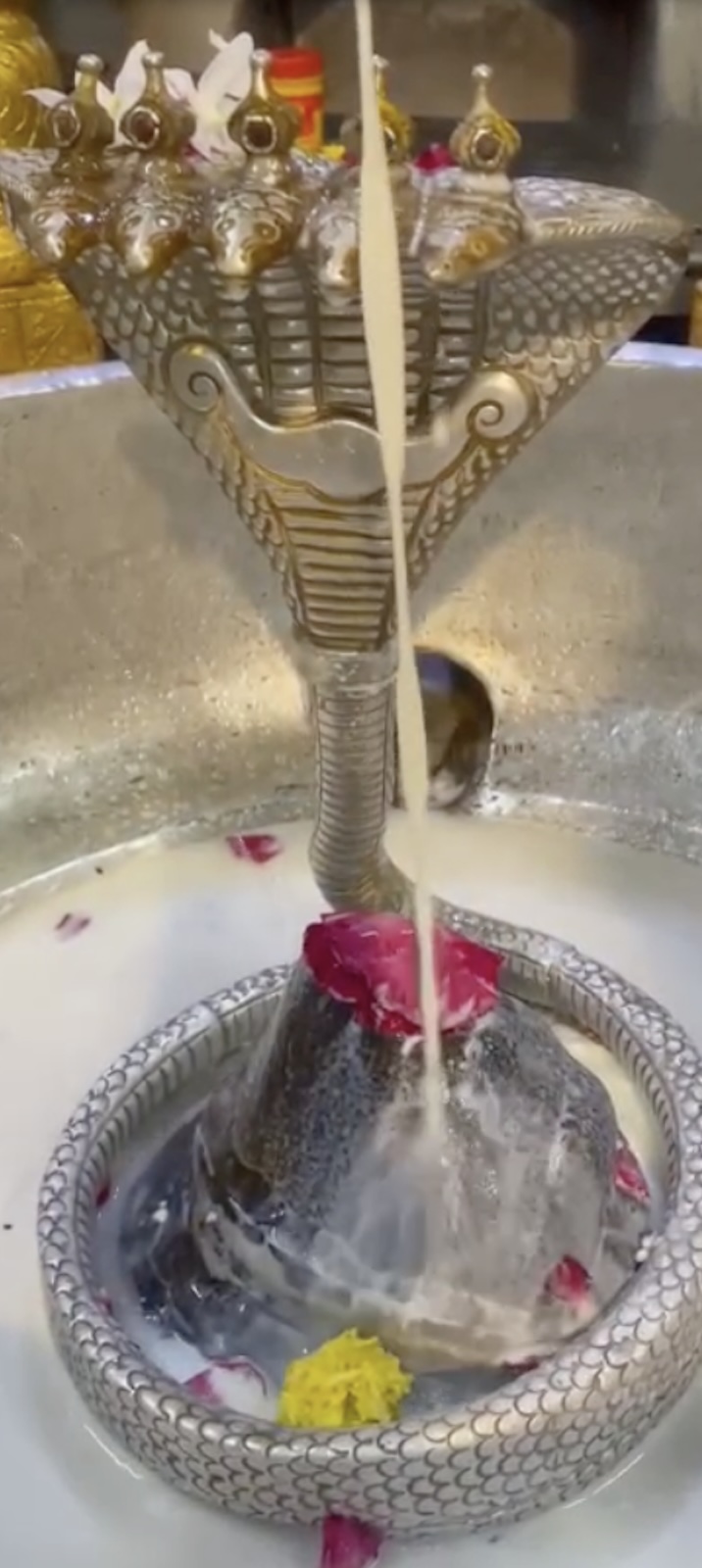 Rudrabhishek to Shree Kubereshwar Mahadev