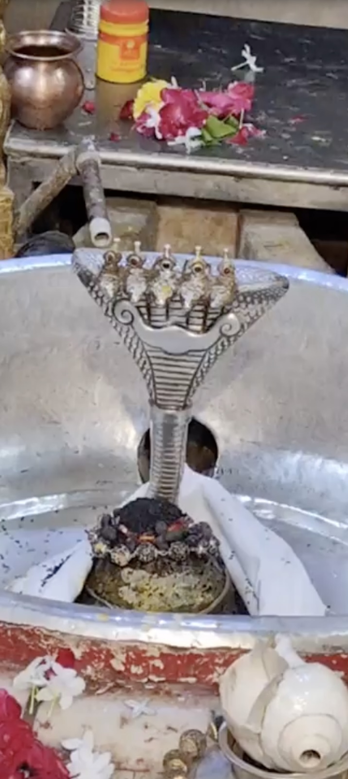 Rudrabhishek to Shree Kubereshwar Mahadev