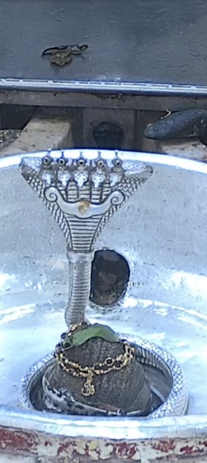 Rudrabhishek to Shree Kubereshwar Mahadev