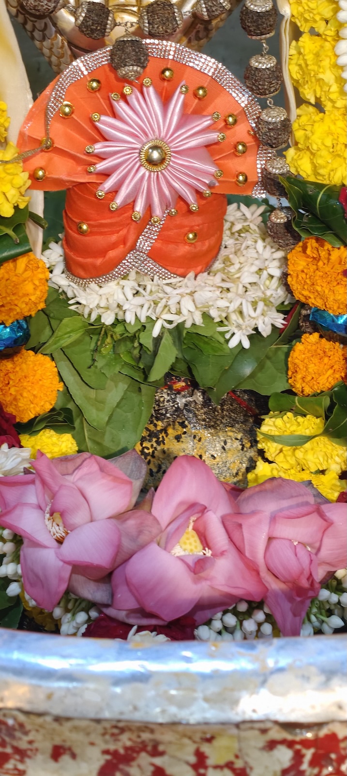 Rudrabhishek to Shree Kubereshwar Mahadev