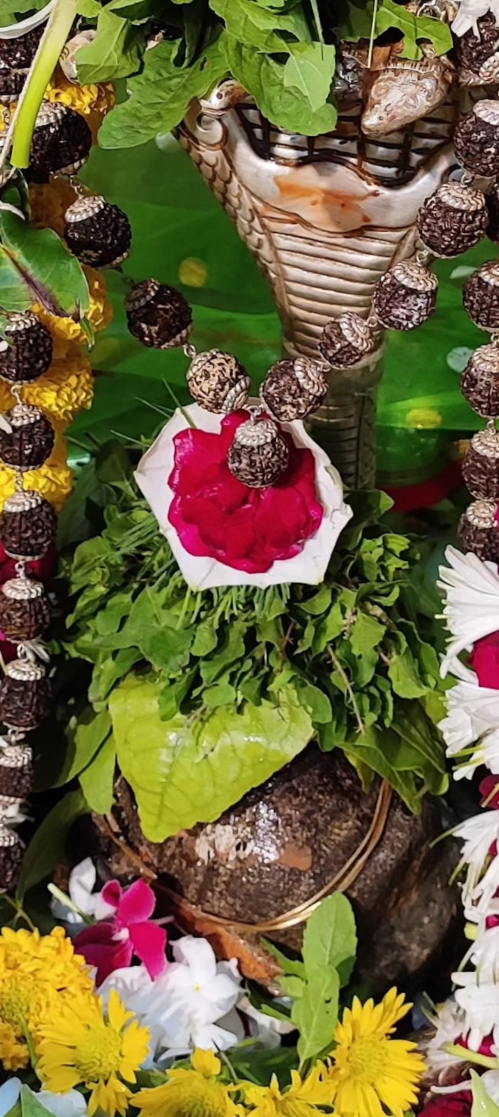 Aarti Darshan Shree Kubereshwar Mahadev