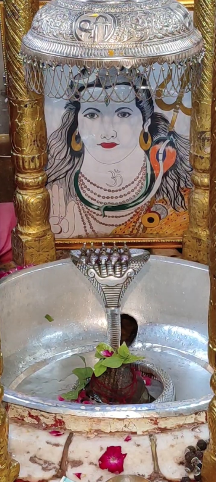 Rudrabhishek to Shree Kubereshwar Mahadev