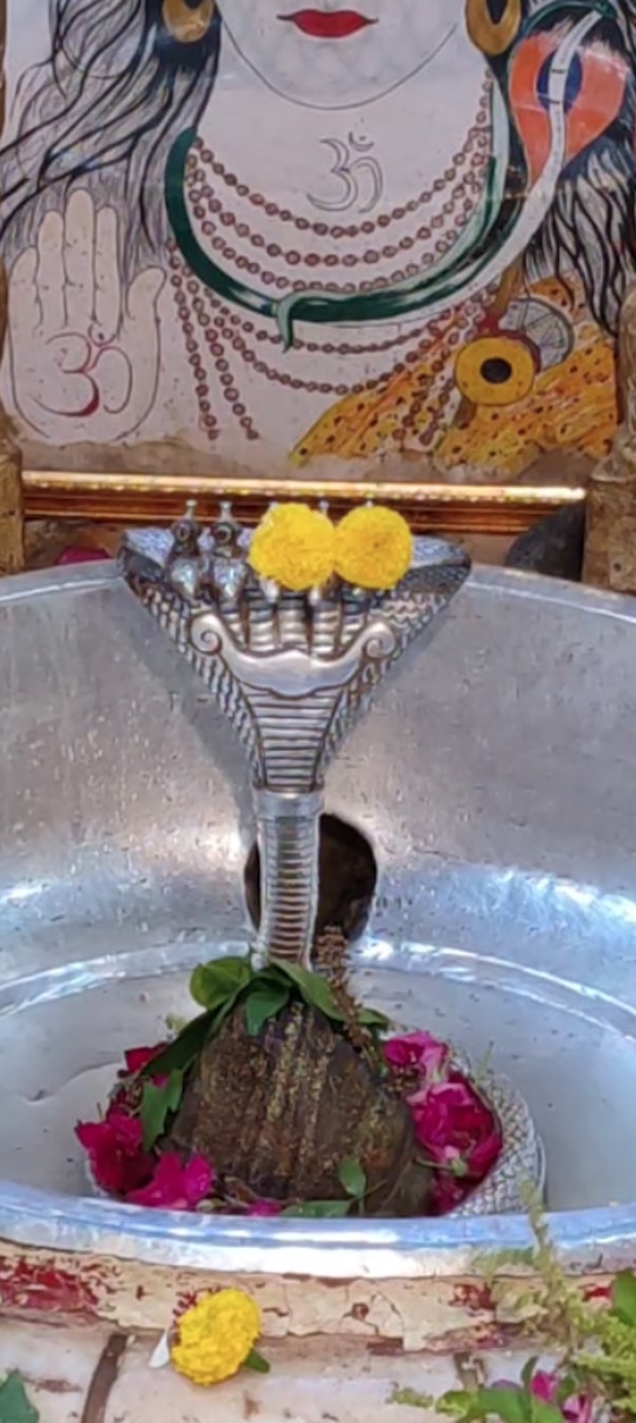 Rudrabhishek to Shree Kubereshwar Mahadev