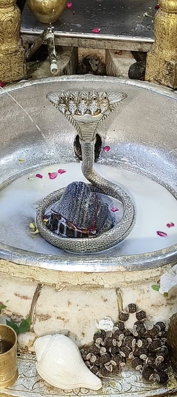 Rudrabhishek to Shree Kubereshwar Mahadev