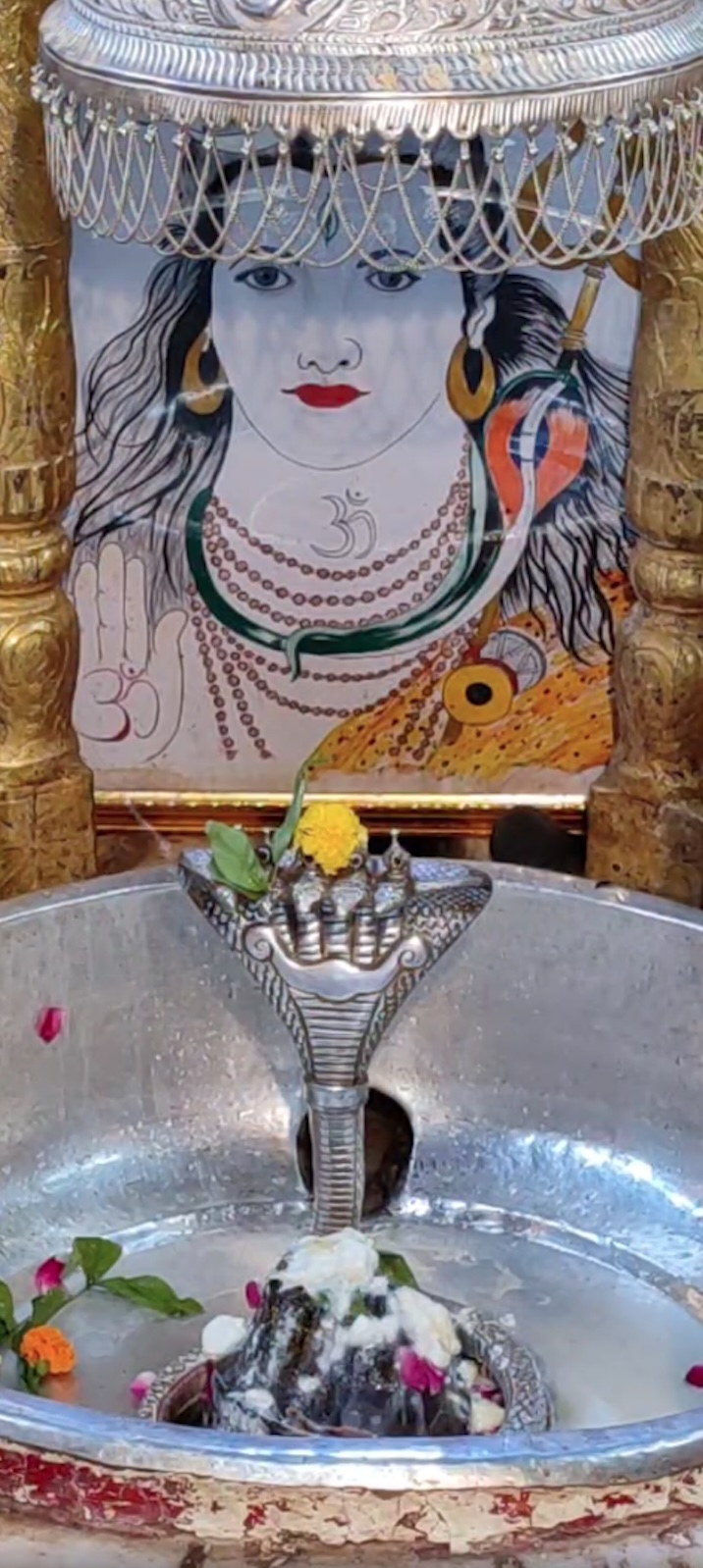 Rudrabhishek to Shree Kubereshwar Mahadev
