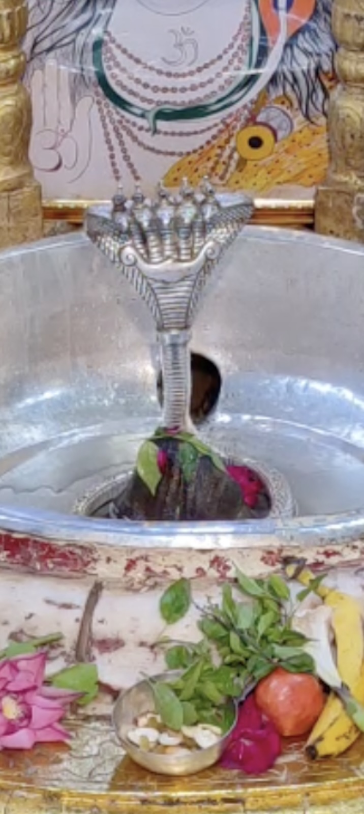 Rudrabhishek to Shree Kubereshwar Mahadev