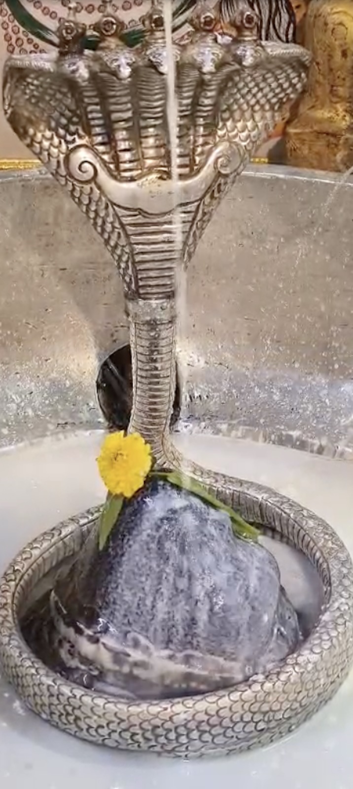 Rudrabhishek to Shree Kubereshwar Mahadev