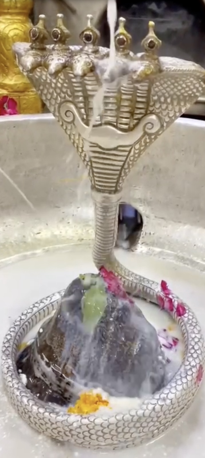 Rudrabhishek to Shree Kubereshwar Mahadev