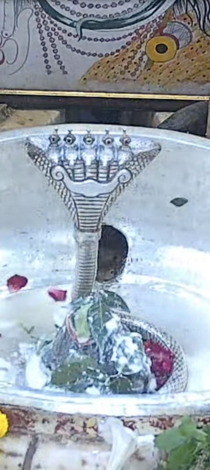 Rudrabhishek to Shree Kubereshwar Mahadev