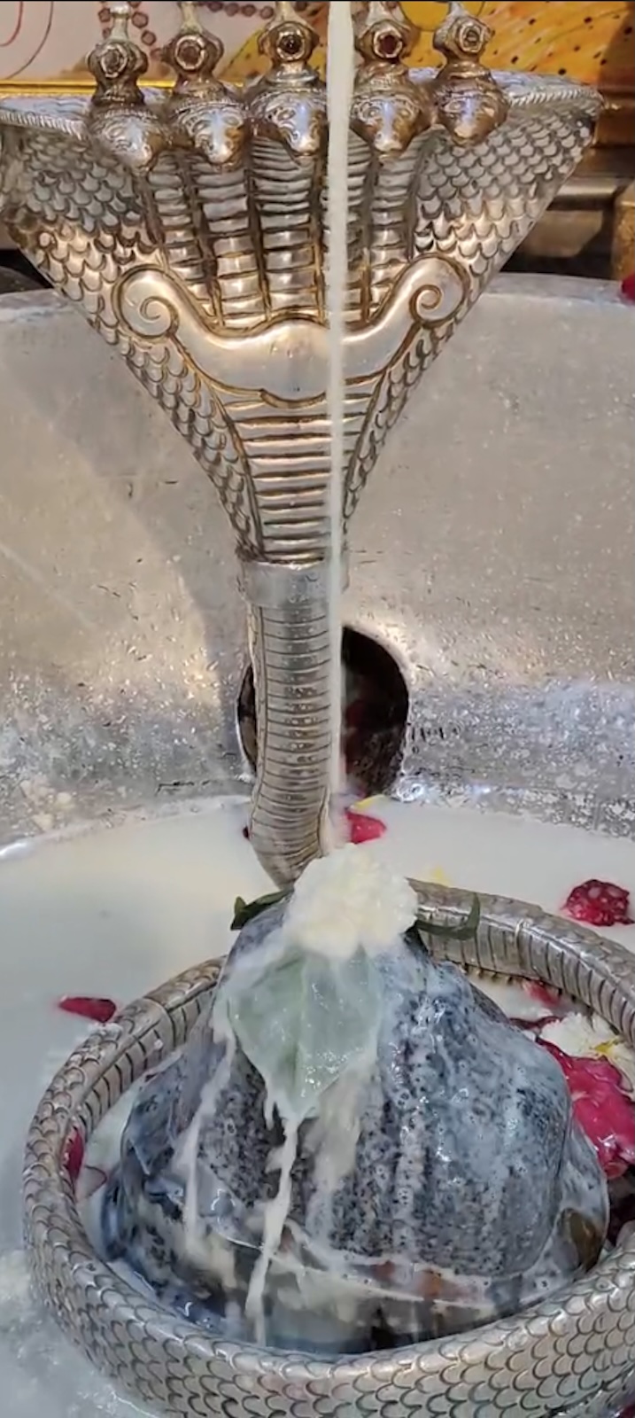 Rudrabhishek to Shree Kubereshwar Mahadev