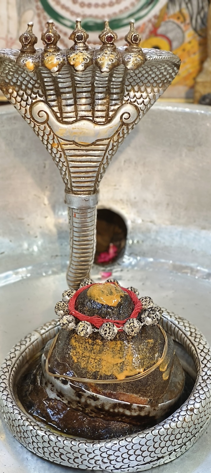 Rudrabhishek to Shree Kubereshwar Mahadev