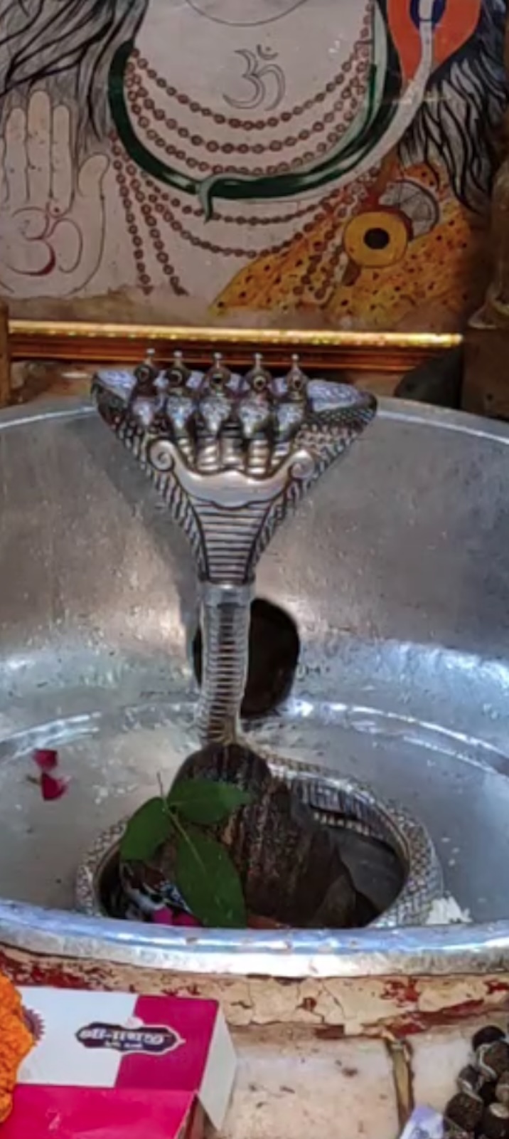 Rudrabhishek to Shree Kubereshwar Mahadev