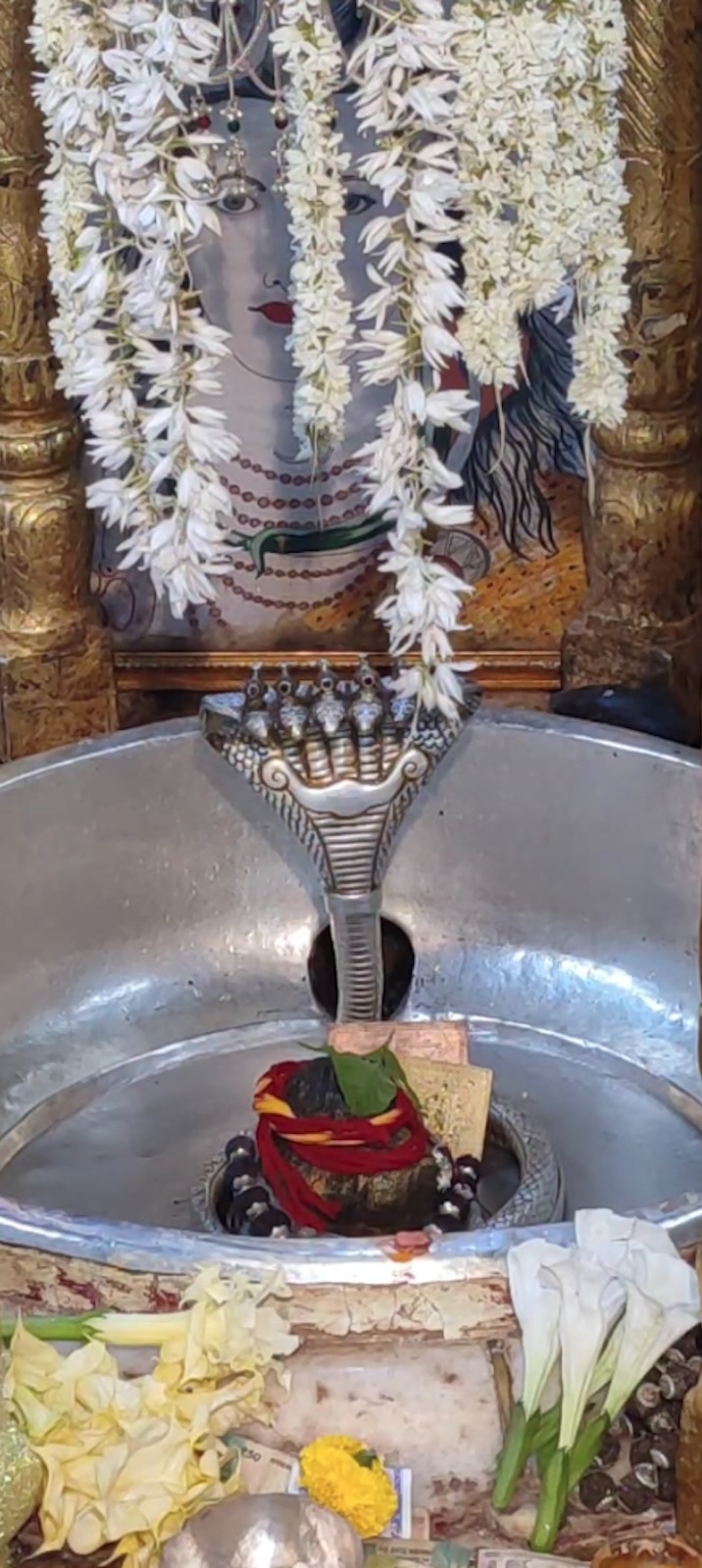 Rudrabhishek to Shree Kubereshwar Mahadev