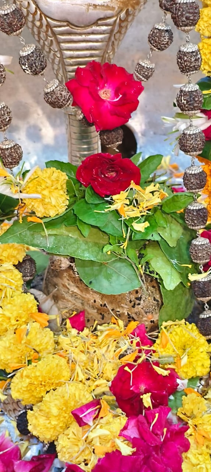 Rudrabhishek to Shree Kubereshwar Mahadev