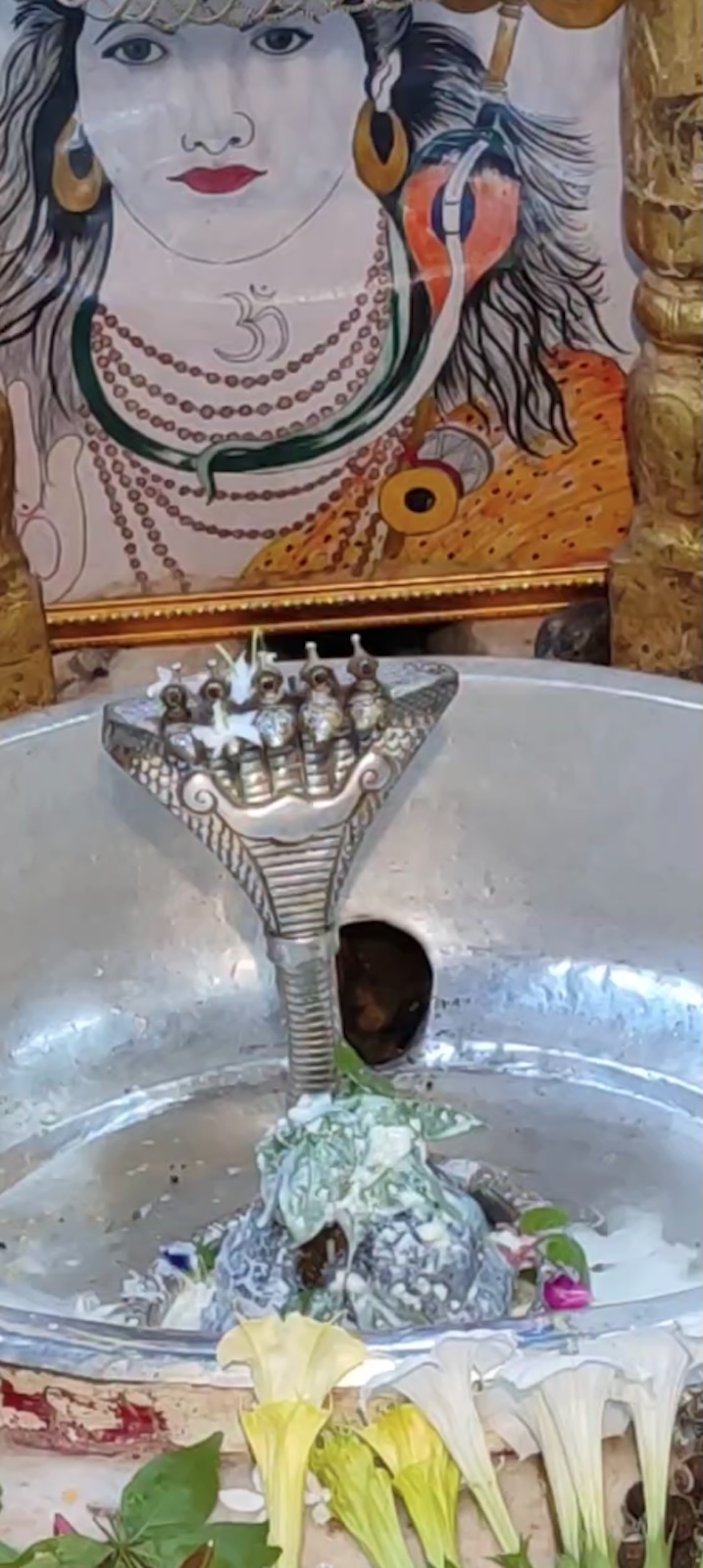 Rudrabhishek to Shree Kubereshwar Mahadev