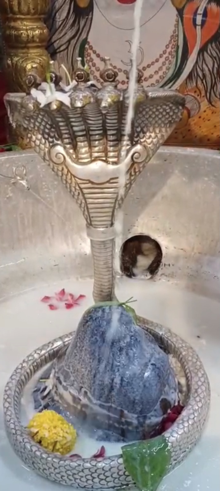 Rudrabhishek to Shree Kubereshwar Mahadev