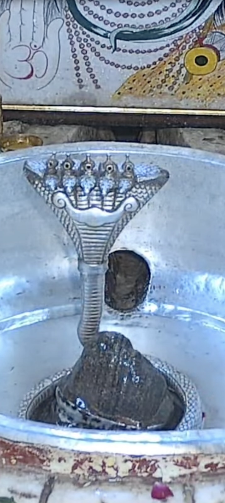 Rudrabhishek to Shree Kubereshwar Mahadev