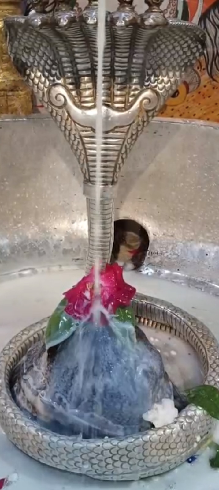 Rudrabhishek to Shree Kubereshwar Mahadev