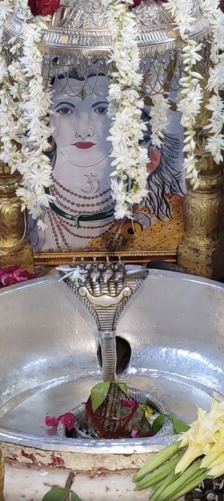 Rudrabhishek to Shree Kubereshwar Mahadev