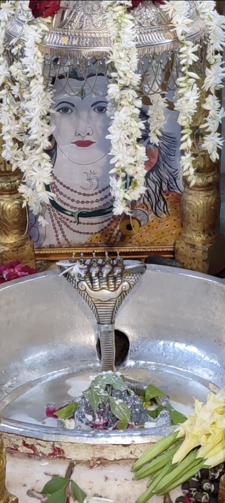 Rudrabhishek to Shree Kubereshwar Mahadev