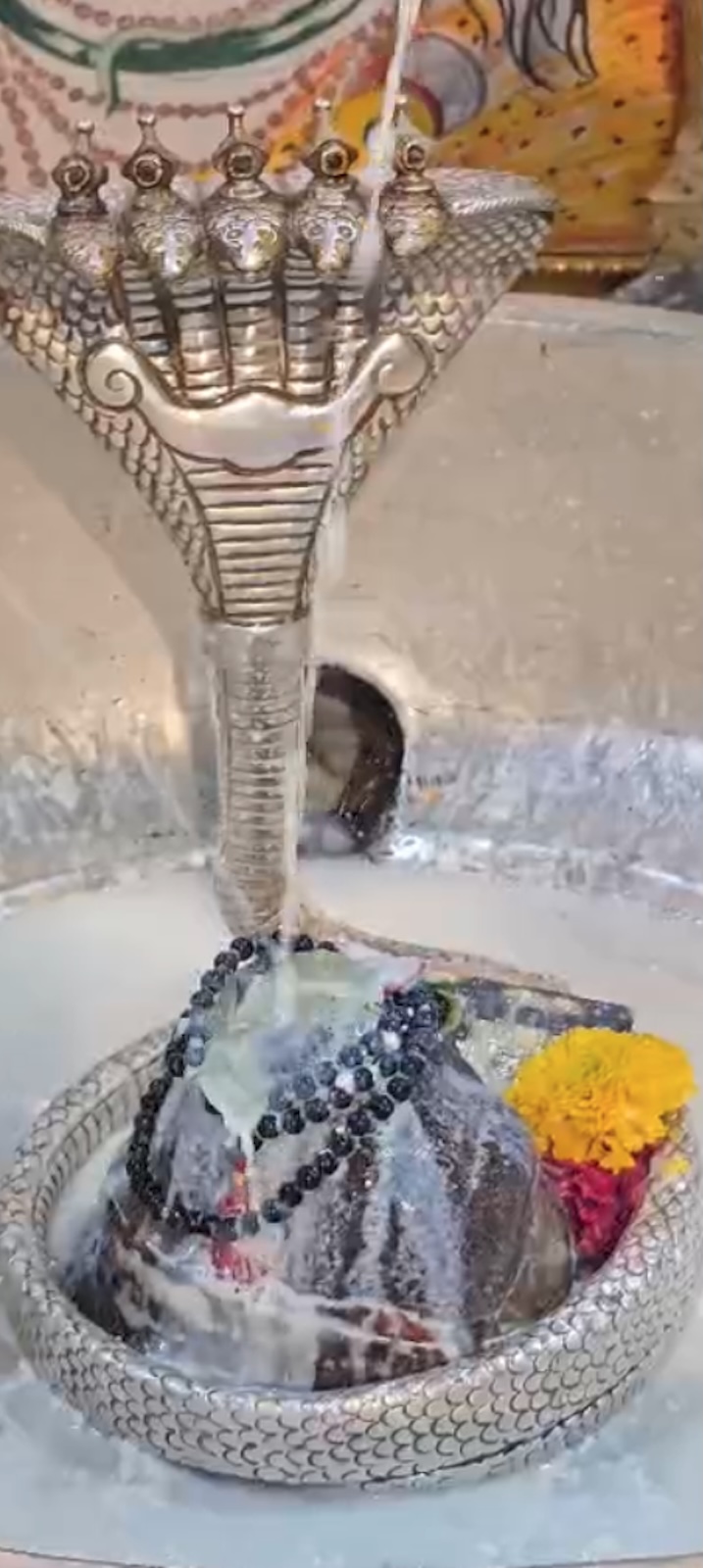 Rudrabhishek to Shree Kubereshwar Mahadev