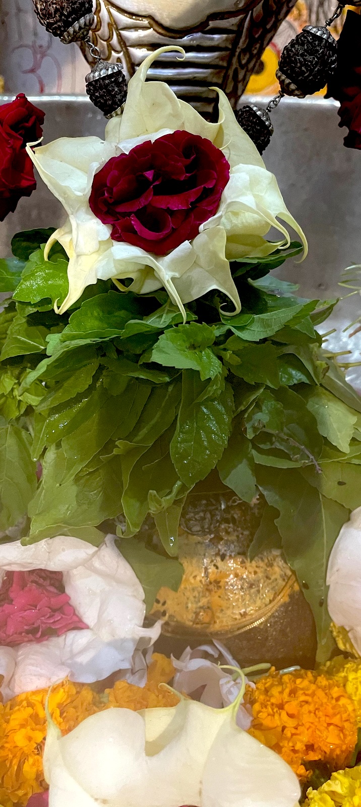 Rudrabhishek to Shree Kubereshwar Mahadev